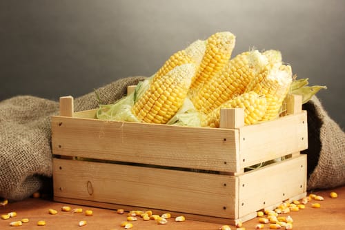 中国の木のテーブルの上に木箱に入ったトウモロコシ。