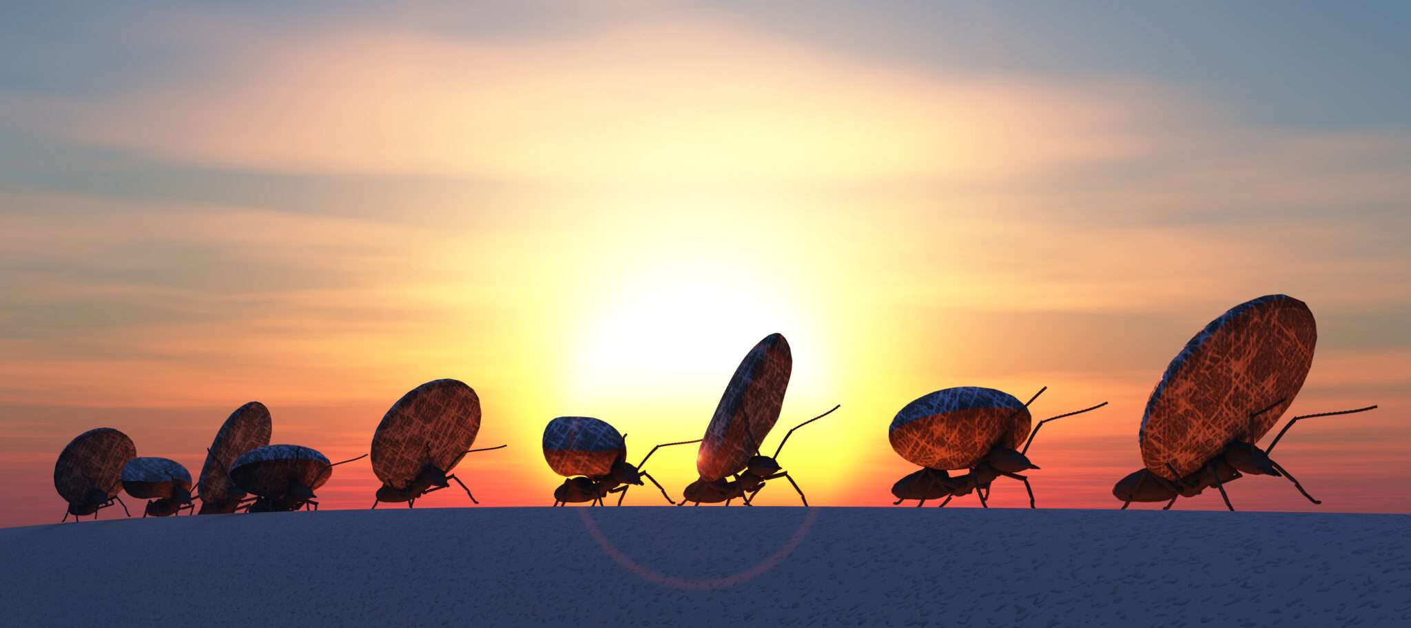 中国文化を感じさせる、夕暮れ時に並ぶ昆虫の群れ。