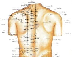 修正説明は次のとおりです:
中国男子の背中にある銛灸穴の位置。 ap_F23_20090710105233467