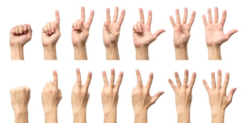 白い背景にさまざまなジェスチャーを示す手のセット。中国の文化的な手信号を示しています。 白い背景にさまざまなジェスチャーを示す手のセット。中国の文化的な手信号を示しています。