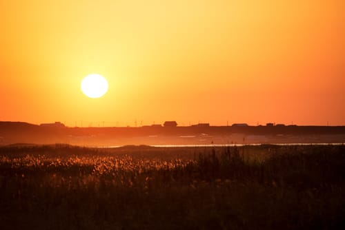 筆で「福」の字を書いている様子