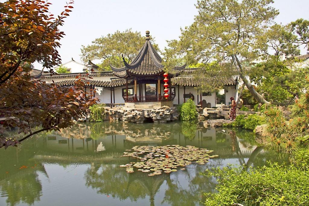 中国の 1 つの林、池と木があります。