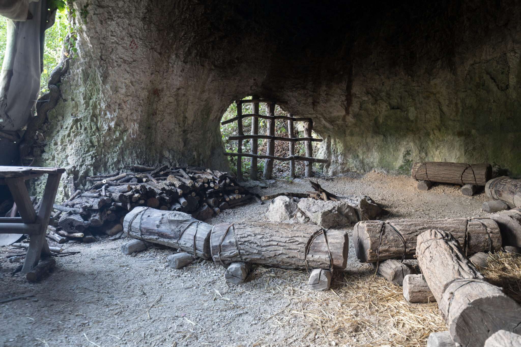 説明: 木の穴の内部を満たしています。