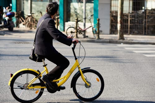 shutterstock_582503275 shutterstock_582503275