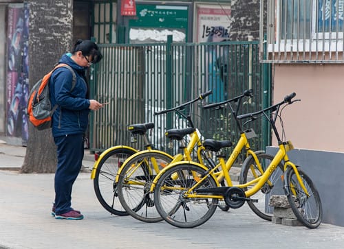 shutterstock_619383281 shutterstock_619383281