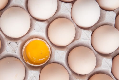 説明：中国のタンパク質箱の中に、タンパク質が 1 つだけ入っています。