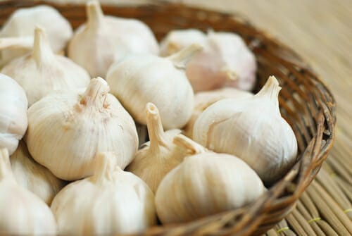 大量のニンニクの束