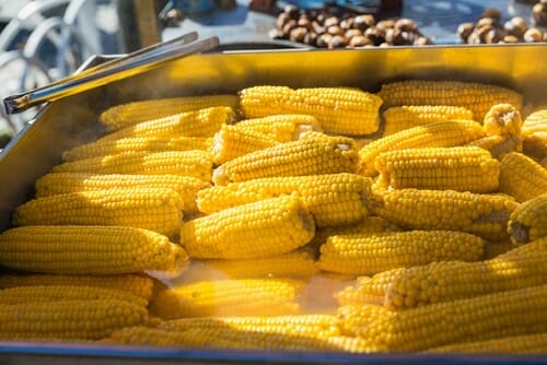 Boiled,Sweet,Corn,For,Sale,On,The,Street.,Street,Fast