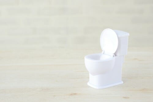 おもちゃの座は木の上にあります。