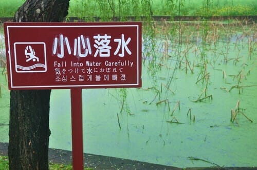 中国池の前にある漢字が書かれた看板。 中国池の前にある漢字が書かれた看板。