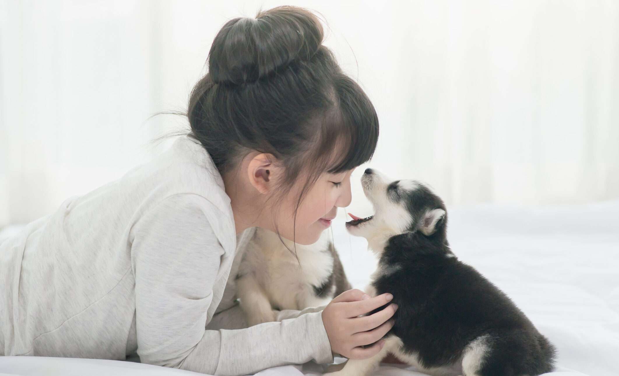 中国のベッドで子犬と遊ぶ少女。