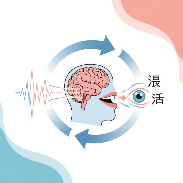 人間の脳を中心に、耳から音、口から発話、目から文字という言語習得の流れを円環状の矢印で示したスタイリッシュなイラスト。