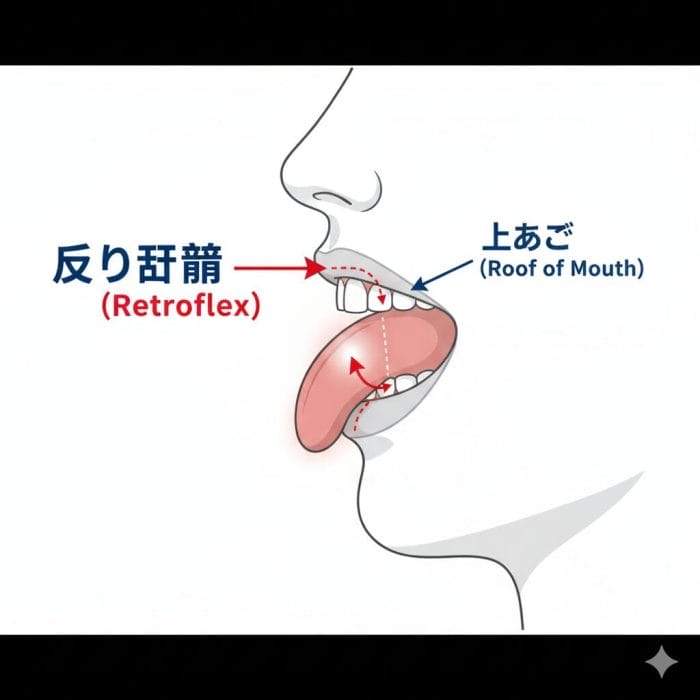是(shi)の発音時の舌の位置を示す図解