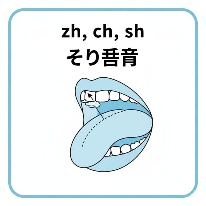 中国語のそり舌音(zh, ch, sh)の舌の位置を示す口腔断面図